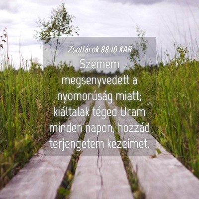Picture 04 - Zsoltárok 88:10 KAR - Szemem megsenyvedett a nyomorúság miatt; - Bible Verse Picture