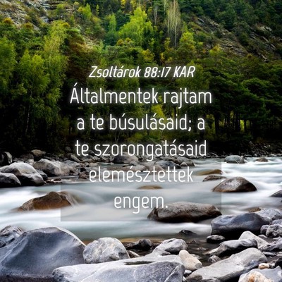 Picture 04 - Zsoltárok 88:17 KAR - Általmentek rajtam a te búsulásaid; a te - Bible Verse Picture