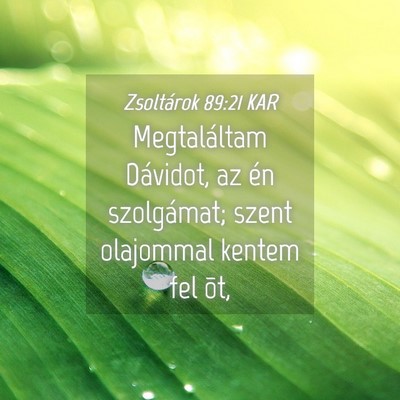 Picture 04 - Zsoltárok 89:21 KAR - Megtaláltam Dávidot, az én szolgámat; szent - Bible Verse Picture