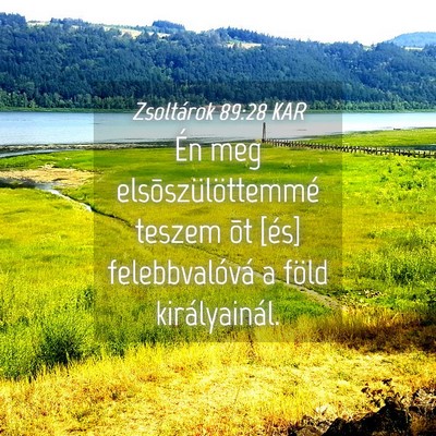 Picture 04 - Zsoltárok 89:28 KAR - Én meg elsõszülöttemmé teszem õt [és] - Bible Verse Picture