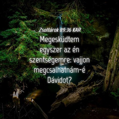 Picture 04 - Zsoltárok 89:36 KAR - Megesküdtem egyszer az én szentségemre: vajjon - Bible Verse Picture
