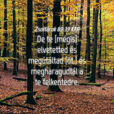 Picture 04 - Zsoltárok 89:39 KAR - De te [mégis] elvetetted és megútáltad [õt,] - Bible Verse Picture