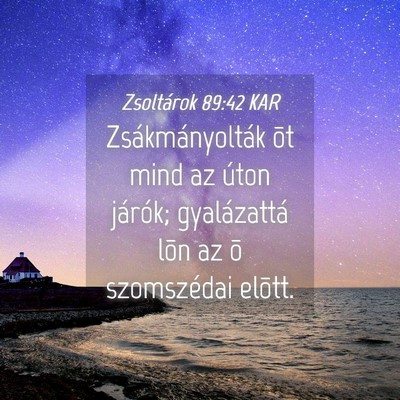 Picture 04 - Zsoltárok 89:42 KAR - Zsákmányolták õt mind az úton járók; - Bible Verse Picture