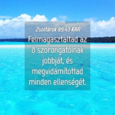 Picture 04 - Zsoltárok 89:43 KAR - Felmagasztaltad az õ szorongatóinak jobbját, - Bible Verse Picture