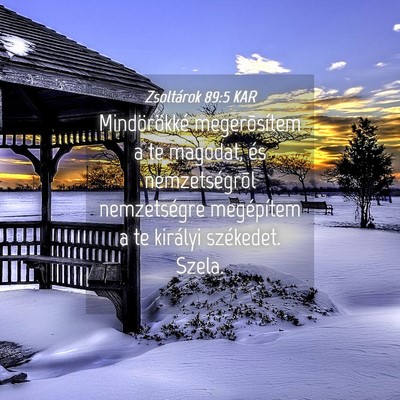 Picture 04 - Zsoltárok 89:5 KAR - Mindörökké megerõsítem a te magodat, és - Bible Verse Picture
