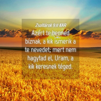 Picture 04 - Zsoltárok 9:11 KAR - Azért te benned bíznak, a kik ismerik a te - Bible Verse Picture