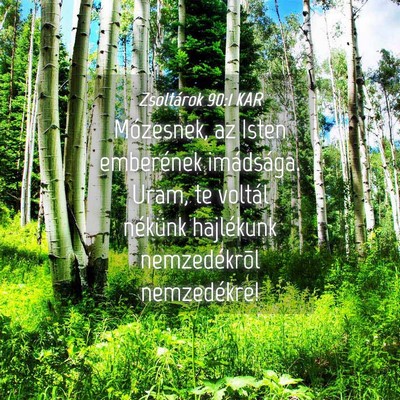 Picture 04 - Zsoltárok 90:1 KAR - Mózesnek, az Isten emberének imádsága. Uram, - Bible Verse Picture