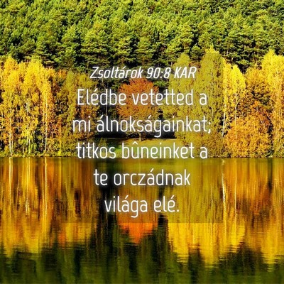 Picture 04 - Zsoltárok 90:8 KAR - Elédbe vetetted a mi álnokságainkat; titkos - Bible Verse Picture
