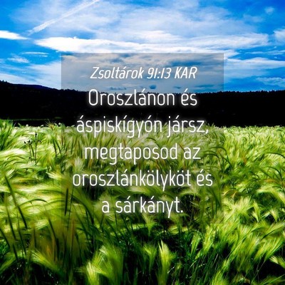 Picture 04 - Zsoltárok 91:13 KAR - Oroszlánon és áspiskígyón jársz, megtaposod - Bible Verse Picture