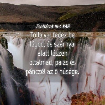 Picture 04 - Zsoltárok 91:4 KAR - Tollaival fedez be téged, és szárnyai alatt - Bible Verse Picture