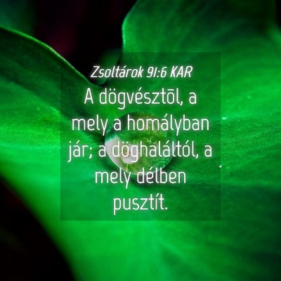 Picture 04 - Zsoltárok 91:6 KAR - A dögvésztõl, a mely a homályban jár; a - Bible Verse Picture