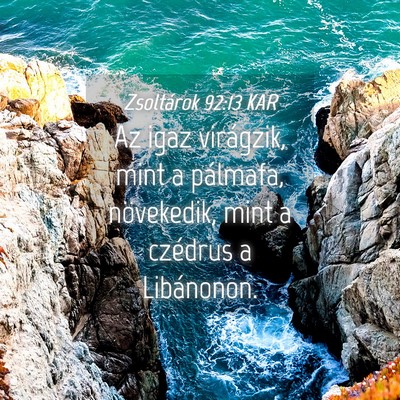 Picture 04 - Zsoltárok 92:13 KAR - Az igaz virágzik, mint a pálmafa, növekedik, - Bible Verse Picture