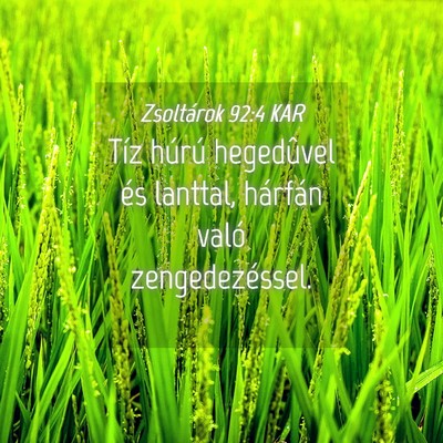 Picture 04 - Zsoltárok 92:4 KAR - Tíz húrú hegedûvel és lanttal, hárfán - Bible Verse Picture