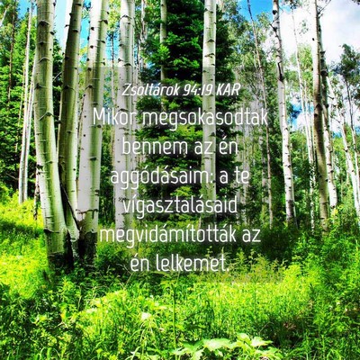 Picture 04 - Zsoltárok 94:19 KAR - Mikor megsokasodtak bennem az én aggódásaim: a - Bible Verse Picture
