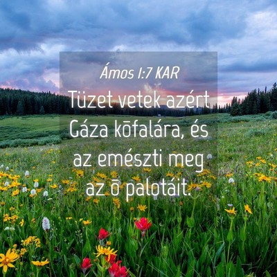 Picture 04 - Ámos 1:7 KAR - Tüzet vetek azért Gáza kõfalára, és az - Bible Verse Picture