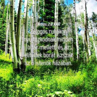 Picture 04 - Ámos 2:8 KAR - Zálogos ruhákon nyujtózkodnak minden oltár - Bible Verse Picture