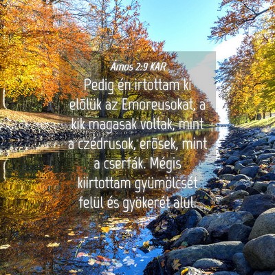 Picture 04 - Ámos 2:9 KAR - Pedig én irtottam ki elõlük az Emoreusokat, a - Bible Verse Picture
