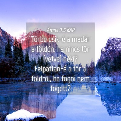 Picture 04 - Ámos 3:5 KAR - Tõrbe esik-é a madár a földön, ha nincs tõr - Bible Verse Picture