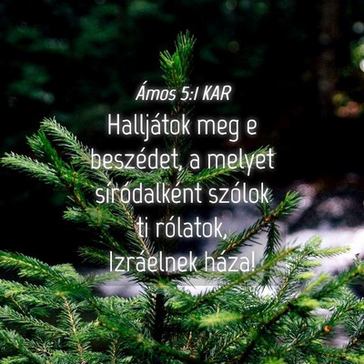 Picture 04 - Ámos 5:1 KAR - Halljátok meg e beszédet, a melyet - Bible Verse Picture