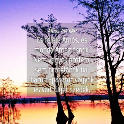 Picture 04 - Ámos 7:14 KAR - És felele Ámós, és mondá Amáziásnak: Nem - Bible Verse Picture