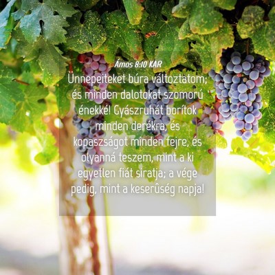 Picture 04 - Ámos 8:10 KAR - Ünnepeiteket búra változtatom; és minden - Bible Verse Picture