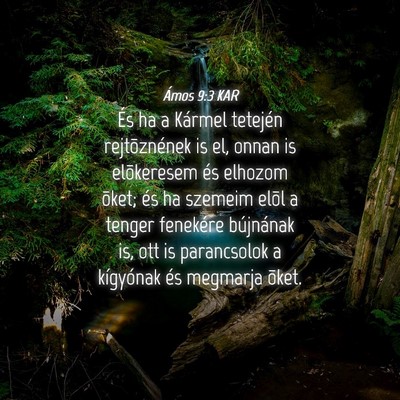 Picture 04 - Ámos 9:3 KAR - És ha a Kármel tetején rejtõznének is el, - Bible Verse Picture