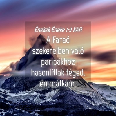 Picture 04 - Énekek Éneke 1:9 KAR - A Faraó szekereiben való paripákhoz - Bible Verse Picture