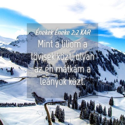 Picture 04 - Énekek Éneke 2:2 KAR - Mint a liliom a tövisek közt, olyan az én - Bible Verse Picture