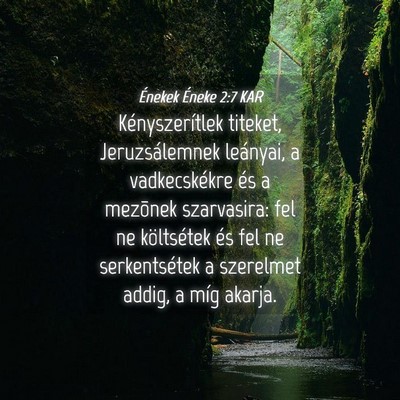 Picture 04 - Énekek Éneke 2:7 KAR - Kényszerítlek titeket, Jeruzsálemnek leányai, - Bible Verse Picture
