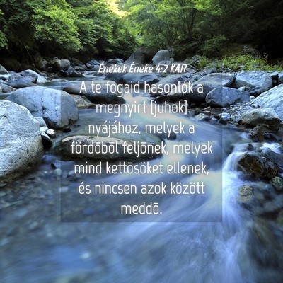 Picture 04 - Énekek Éneke 4:2 KAR - A te fogaid hasonlók a megnyirt [juhok] - Bible Verse Picture
