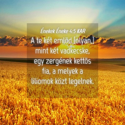 Picture 04 - Énekek Éneke 4:5 KAR - A te két emlõd [olyan,] mint két vadkecske, - Bible Verse Picture