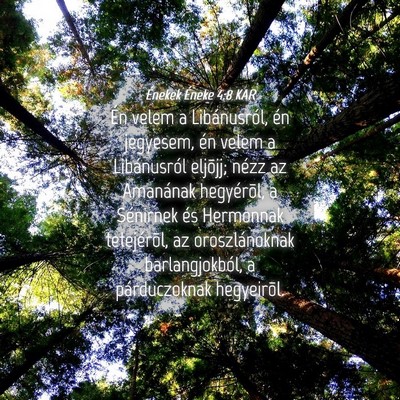 Picture 04 - Énekek Éneke 4:8 KAR - Én velem a Libánusról, én jegyesem, én velem - Bible Verse Picture