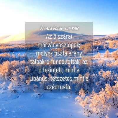 Picture 04 - Énekek Éneke 5:15 KAR - Az õ szárai márványoszlopok; melyek tiszta - Bible Verse Picture