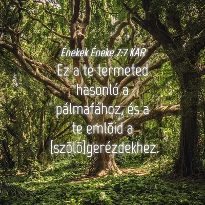 Picture 04 - Énekek Éneke 7:7 KAR - Ez a te termeted hasonló a pálmafához, és a - Bible Verse Picture