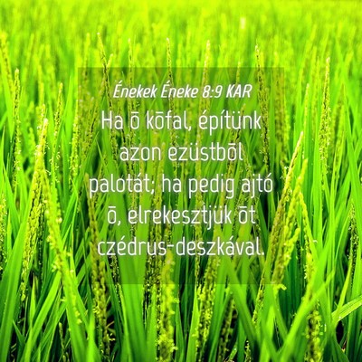Picture 04 - Énekek Éneke 8:9 KAR - Ha õ kõfal, építünk azon ezüstbõl - Bible Verse Picture