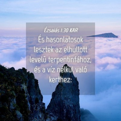 Picture 04 - Ézsaiás 1:30 KAR - És hasonlatosok lesztek az elhullott levelû - Bible Verse Picture