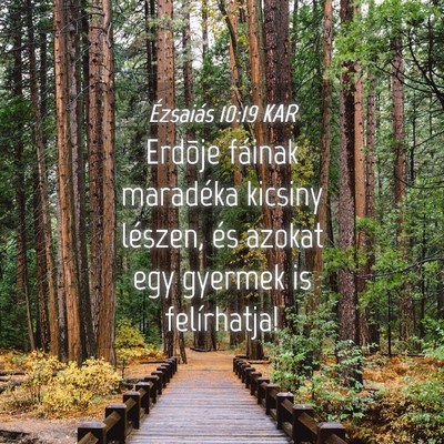 Picture 04 - Ézsaiás 10:19 KAR - Erdõje fáinak maradéka kicsiny lészen, és - Bible Verse Picture