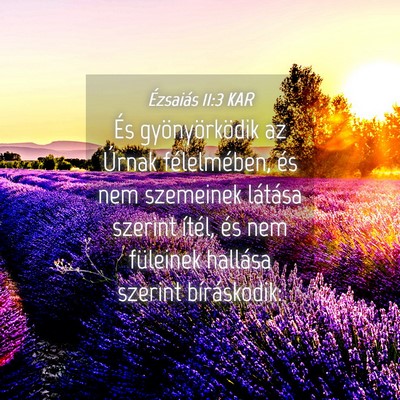 Picture 04 - Ézsaiás 11:3 KAR - És gyönyörködik az Úrnak félelmében, és - Bible Verse Picture