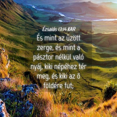 Picture 04 - Ézsaiás 13:14 KAR - És mint az ûzött zerge, és mint a pásztor - Bible Verse Picture