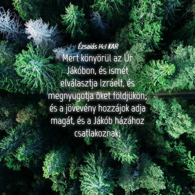 Picture 04 - Ézsaiás 14:1 KAR - Mert könyörül az Úr Jákóbon, és ismét - Bible Verse Picture