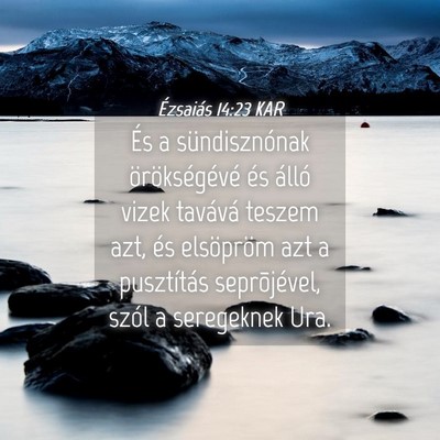 Picture 04 - Ézsaiás 14:23 KAR - És a sündisznónak örökségévé és álló - Bible Verse Picture