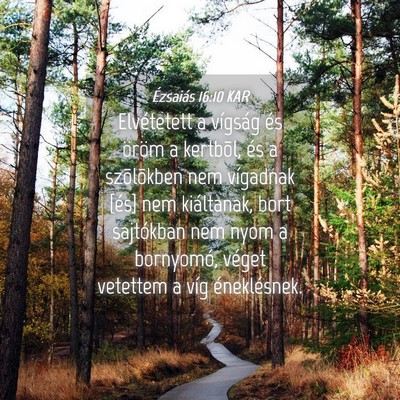 Picture 04 - Ézsaiás 16:10 KAR - Elvétetett a vígság és öröm a kertbõl, és - Bible Verse Picture
