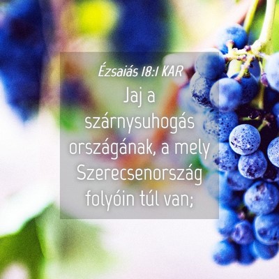 Picture 04 - Ézsaiás 18:1 KAR - Jaj a szárnysuhogás országának, a mely - Bible Verse Picture