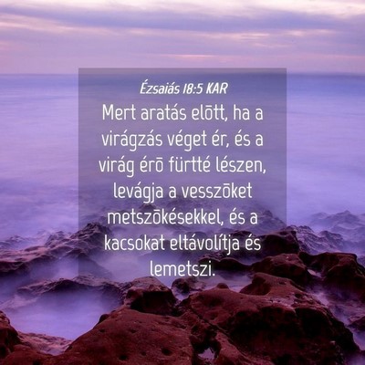 Picture 04 - Ézsaiás 18:5 KAR - Mert aratás elõtt, ha a virágzás véget ér, - Bible Verse Picture