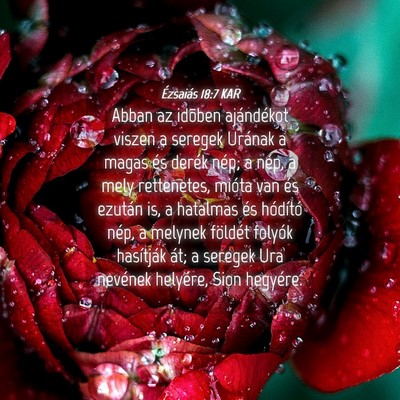 Picture 04 - Ézsaiás 18:7 KAR - Abban az idõben ajándékot viszen a seregek - Bible Verse Picture