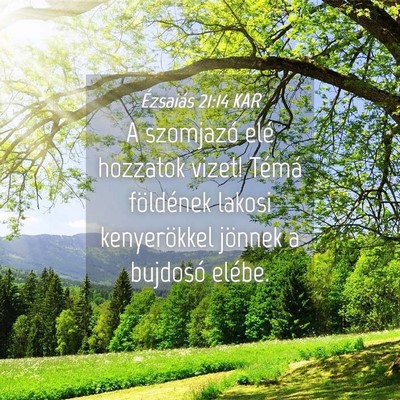 Picture 04 - Ézsaiás 21:14 KAR - A szomjazó elé hozzatok vizet! Témá - Bible Verse Picture