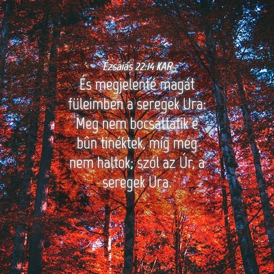 Picture 04 - Ézsaiás 22:14 KAR - És megjelenté magát füleimben a seregek Ura: - Bible Verse Picture