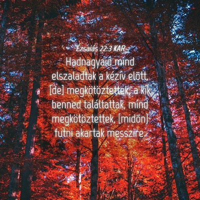 Picture 04 - Ézsaiás 22:3 KAR - Hadnagyaid mind elszaladtak a kézív elõtt, - Bible Verse Picture