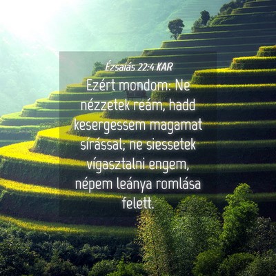 Picture 04 - Ézsaiás 22:4 KAR - Ezért mondom: Ne nézzetek reám, hadd - Bible Verse Picture