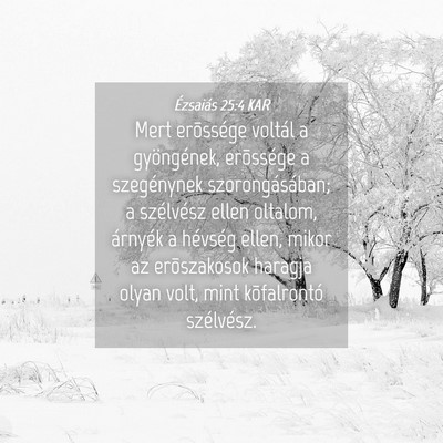 Picture 04 - Ézsaiás 25:4 KAR - Mert erõssége voltál a gyöngének, erõssége - Bible Verse Picture